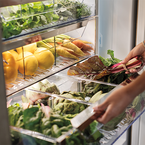 Designer Series Attribute 1